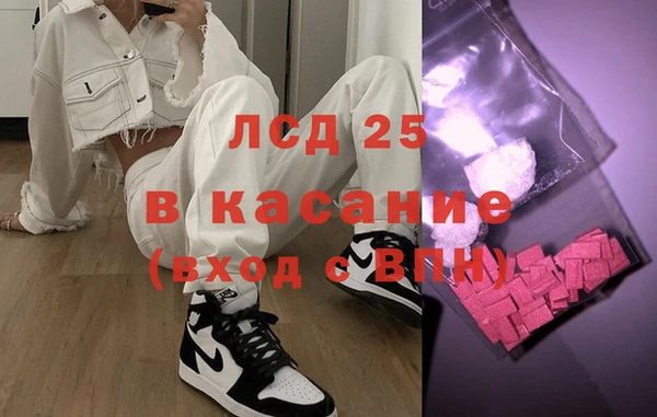 прущие грибы Арсеньев