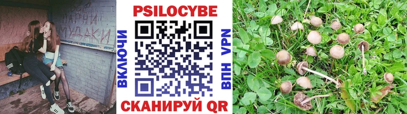 купить наркоту  Знаменск  Галлюциногенные грибы мухоморы 